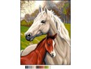 stramien paard met veulen