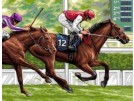 stramien paardenrace