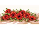 stramien papavers