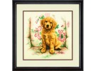 borduurpakket golden retriever in luie stoel