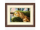 halve kruissteekpakket golden retriever rust uit…