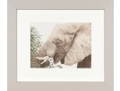 borduurpakket etende olifant