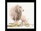 borduurpakket schaap met lam