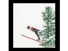 borduurpakket skiën