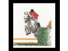 borduurpakket paardensport