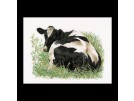 borduurpakket koe-2