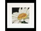 borduurpakket margriet close-up