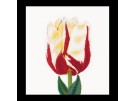 borduurpakket tulp-3