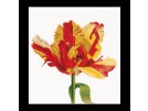 borduurpakket tulp-6