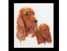borduurpakket spaniel en puppy