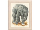 borduurpakket olifant