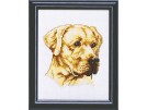 borduurpakket labrador