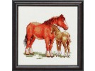 borduurpakket paard met veulen