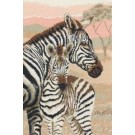 borduurpakket zebra met veulen