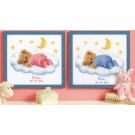 borduurpakket geboorte tim/julie (incl. blauw/rose garen)