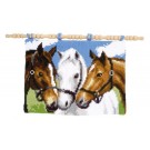 kruissteekwandkleed drie paarden
