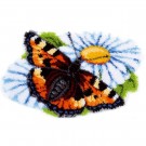 knoopkleed vlinder op margriet