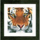 borduurpakket tijger close-up