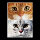 borduurpakket cats, tiger&kitty